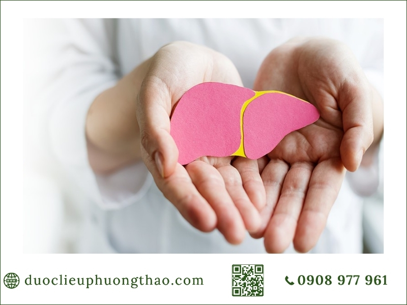tham khảo ý kiến chuyên môn