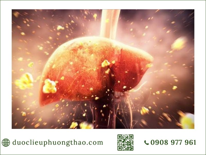 thận trọng trong điều trị nóng gan