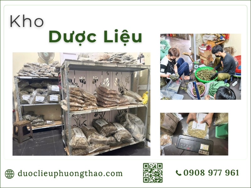 Combo hoa đu đủ đực 4kg gửi nước ngoài kho dược liệu