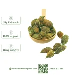 Khổ qua rừng nguyên trái (mướp đắng rừng, khổ qua núi)