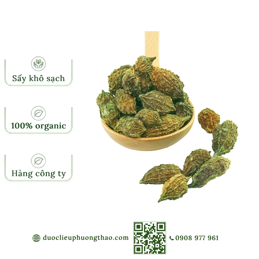 Khổ qua rừng nguyên trái (mướp đắng rừng, khổ qua núi)