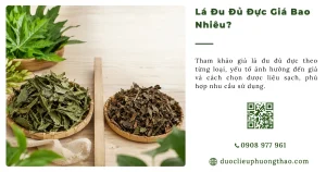 Lá đu đủ đực giá bao nhiêu? Cập nhật mức giá và cách chọn loại chất lượng