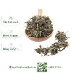 Lá ngải cứu (cây thuốc cứu, ngải diệp, thuốc cao)