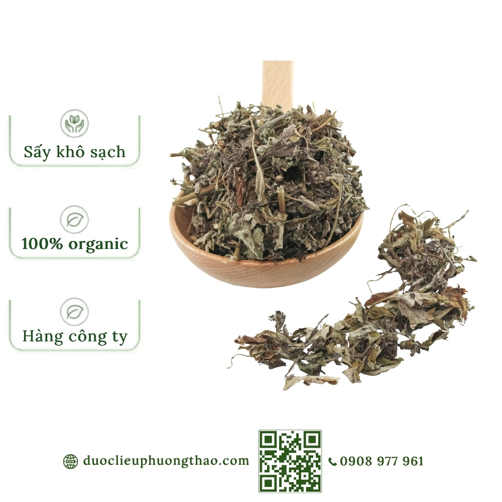 Lá ngải cứu (cây thuốc cứu, ngải diệp, thuốc cao)