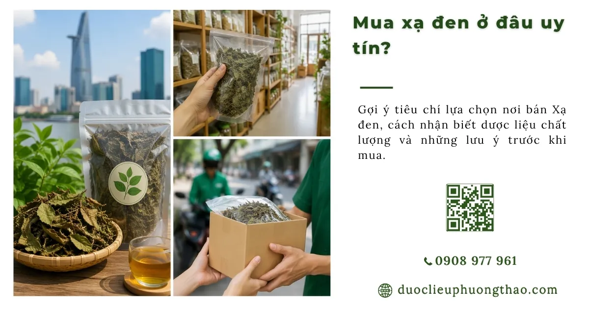 mua cây xạ đen