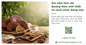 Giá nấm linh chi Quảng Nam bao nhiêu? Những yếu tố ảnh hưởng đến giá bán
