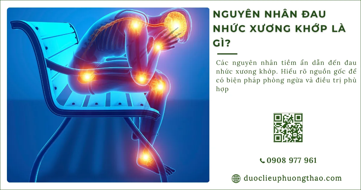 nguyên nhân đau nhức xương khớp