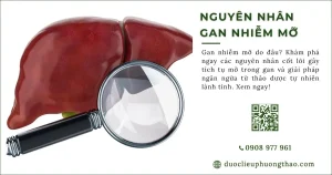 Nguyên nhân gan nhiễm mỡ là gì? Do ăn uống hay bệnh nền?