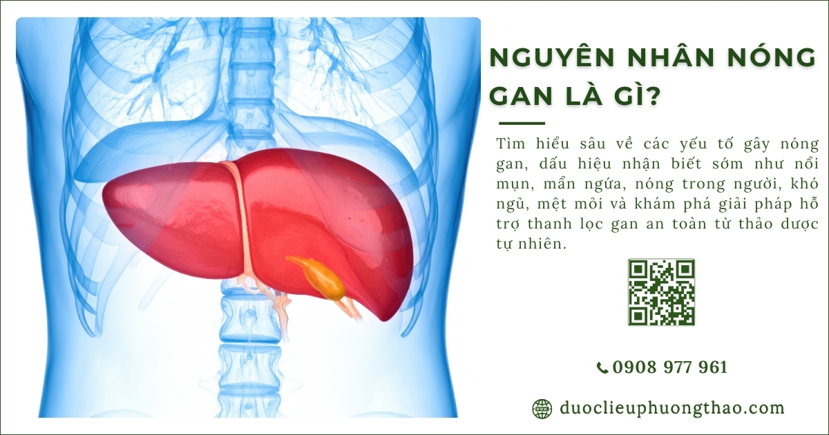 nguyên nhân nóng gan
