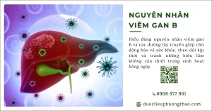 Nguyên nhân viêm gan B là gì? Vì sao bệnh dễ lây âm thầm?
