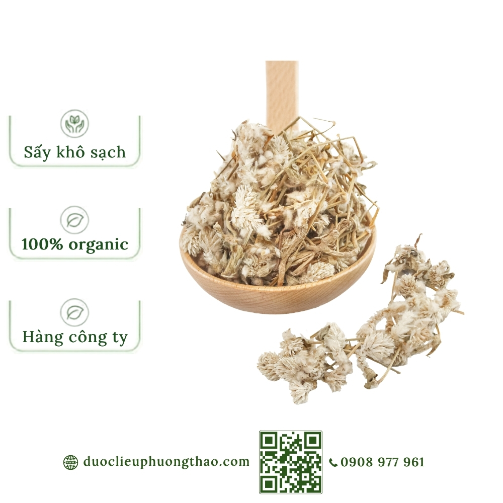 Nở ngày đất (cúc dại, cây nở ngày, bông nở ngày đất)
