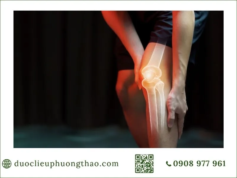 đau nhức xương khớp là gì