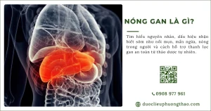 Nóng gan là gì?  Có những nguyên nhân, triệu chứng và cách phòng tránh nào?