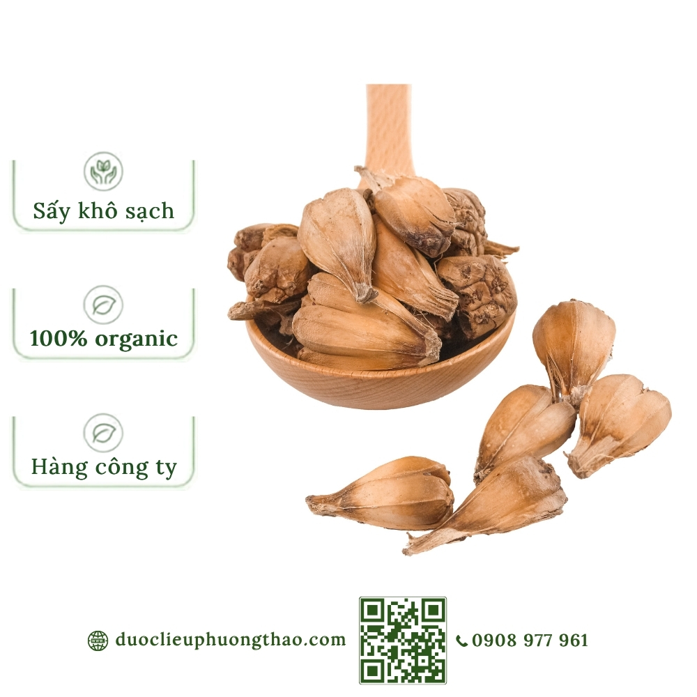 Quả dứa dại (dứa gỗ, dứa gai, dứa dại biển, dứa rừng)