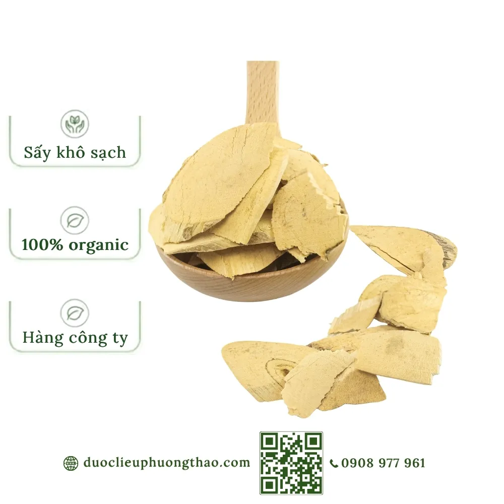 Rễ mật nhân (cây bách bệnh, cây bá bệnh)