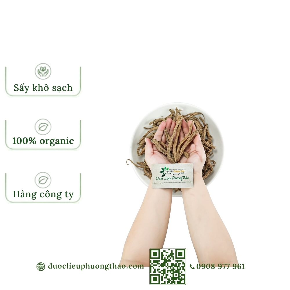 Sâm dây Ngọc Linh Kon Tum (đẳng sâm, đảng sâm)