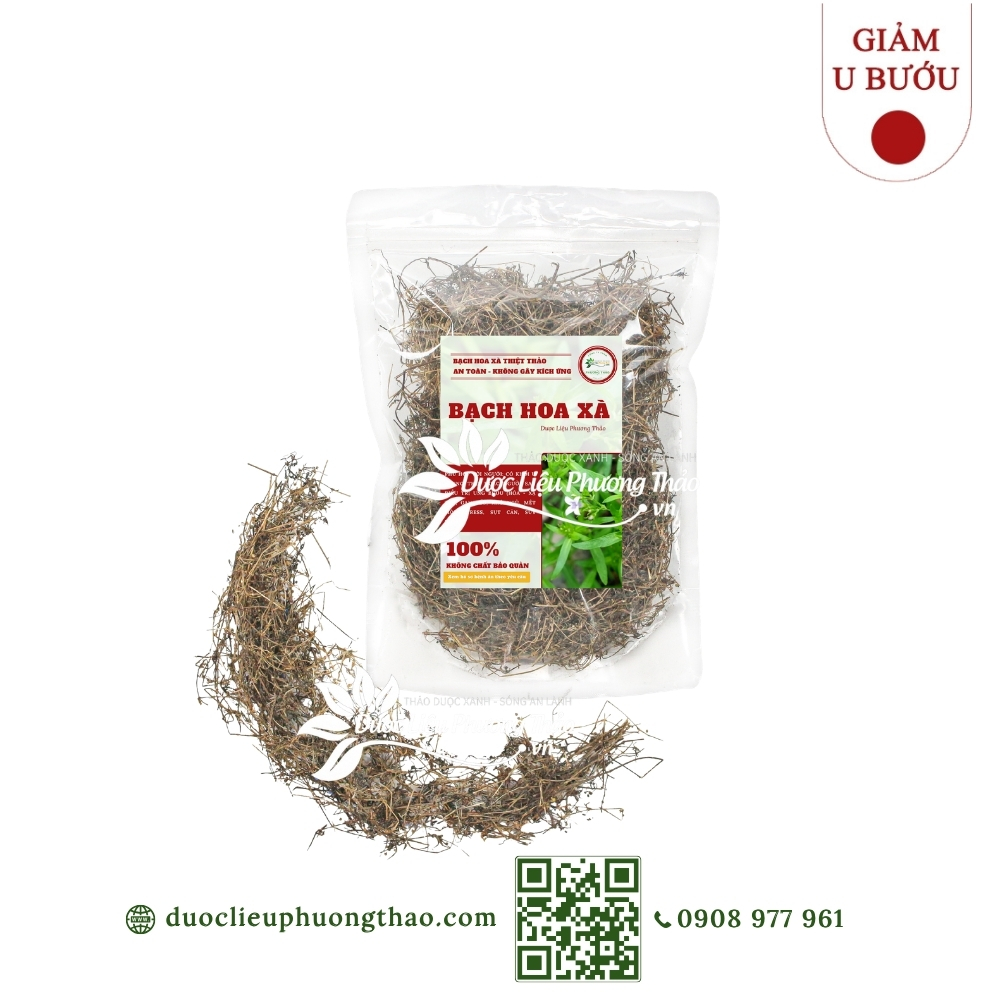 Bạch hoa xà (cỏ lưỡi rắn trắng, xà thiệt thảo)