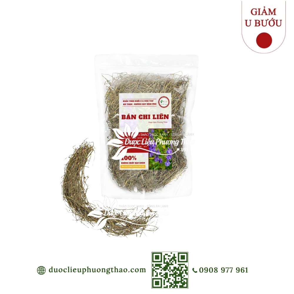 Bán chi liên (hoàng cầm râu, nha loát thảo)
