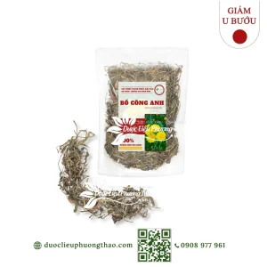 Bồ công anh (diếp dại, diếp trời)