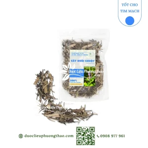 Cây đuôi chuột (cỏ đuôi chuột, đuôi chuột tím)