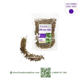 Cây lạc tiên (cây chùm bao, dây nhãn lồng, cây lồng đèn)
