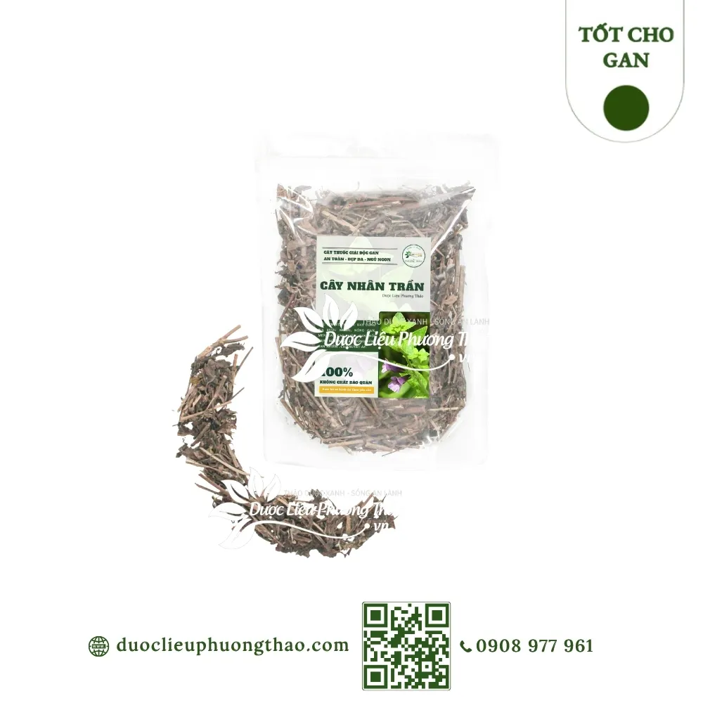 Cây nhân trần (chè cát, chè nội)