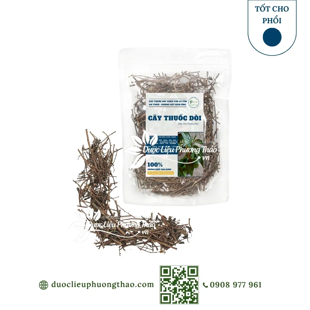 Cây dòi thân tím (cây bọ mắm, cây dòi tía, đại kích biển)