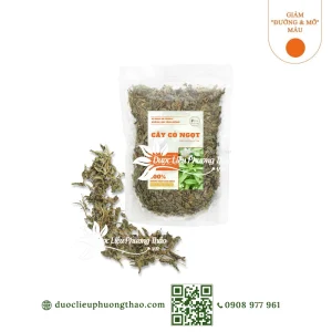 Cỏ ngọt (cỏ đường, cỏ mật, diệp lộ thảo)