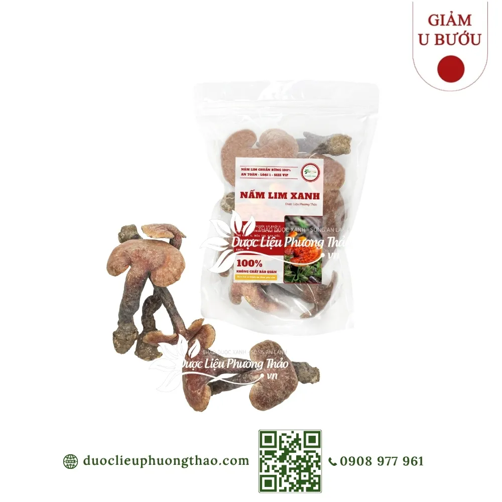 Nấm lim xanh nguyên cây (Nấm trường thọ, nấm vạn tiên nhung)