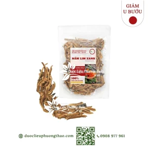 Nấm lim xanh xắt lát (Nấm trường thọ, nấm vạn tiên nhung)