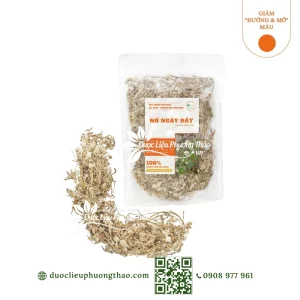 Nở ngày đất (cúc dại, cây nở ngày, bông nở ngày đất)
