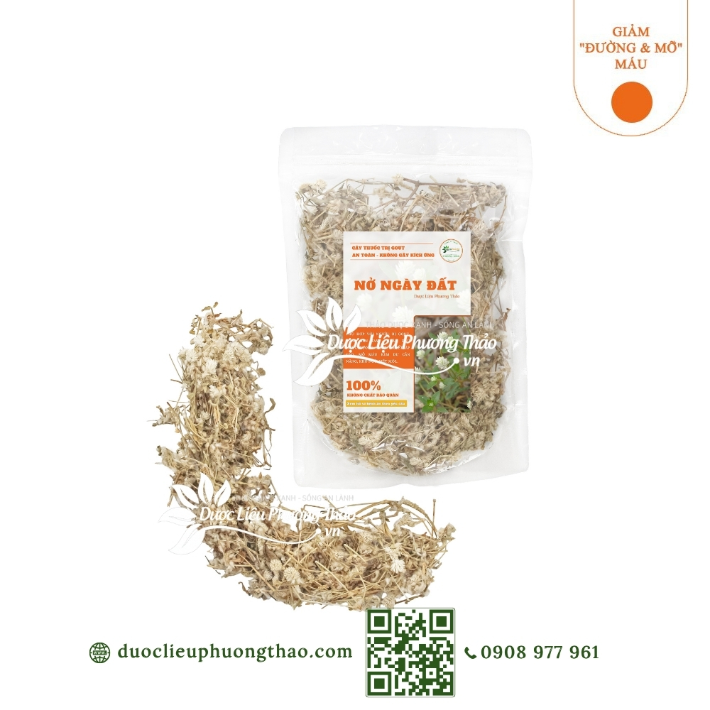 Nở ngày đất (cúc dại, cây nở ngày, bông nở ngày đất)
