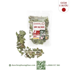Cây xạ đen (Cây dây gối, Cây bách giải)