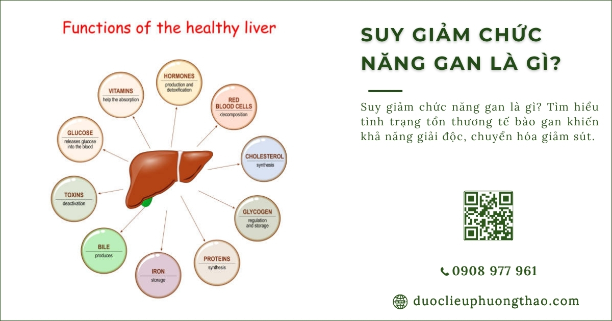 suy giảm chức năng gan