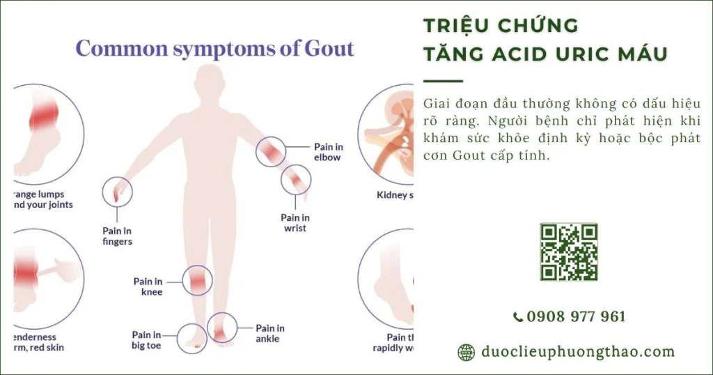 Triệu chứng tăng axit uric máu: Dấu hiệu nào cần lưu ý?