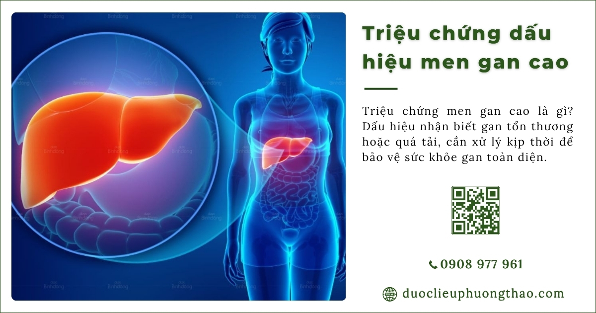 Triệu chứng men gan cao