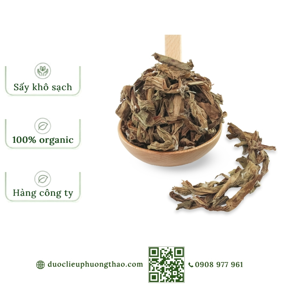 Trinh nữ hoàng cung (náng lá rộng, tỏi lơi lá rộng)