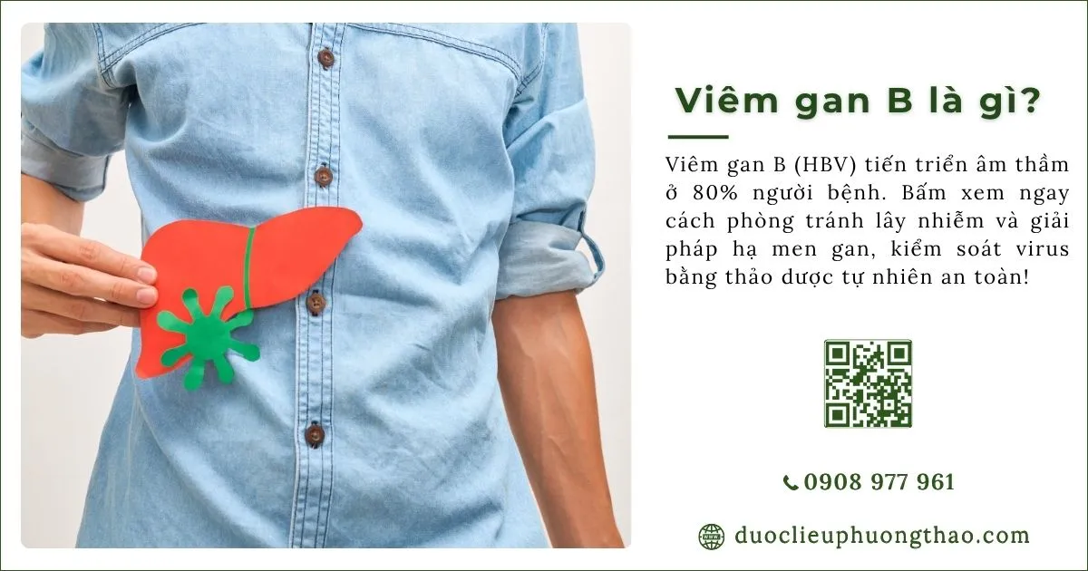 viêm gan b là gì