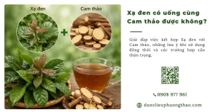 Xạ đen có uống với Cam thảo được không?