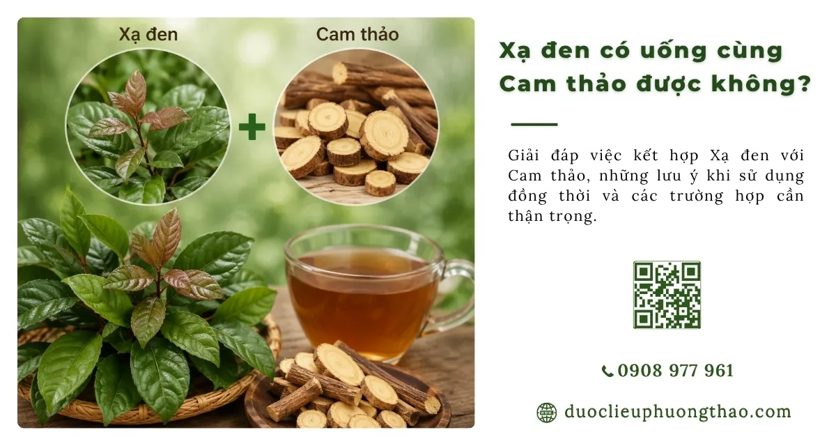 xạ đen uống với cam thảo