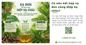 Uống kết hợp Xạ đen và Diệp hạ châu có tác dụng gì và cách dùng ra sao?