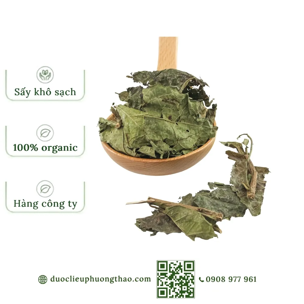 Cây xạ đen (Cây dây gối, Cây bách giải)