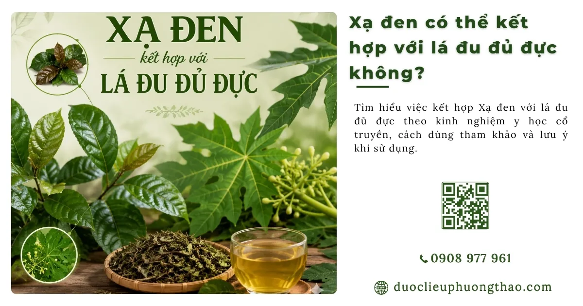 xạ đen và lá đu đủ đực