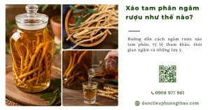 Xáo Tam Phân ngâm rượu như thế nào? Cách ngâm đúng và lưu ý