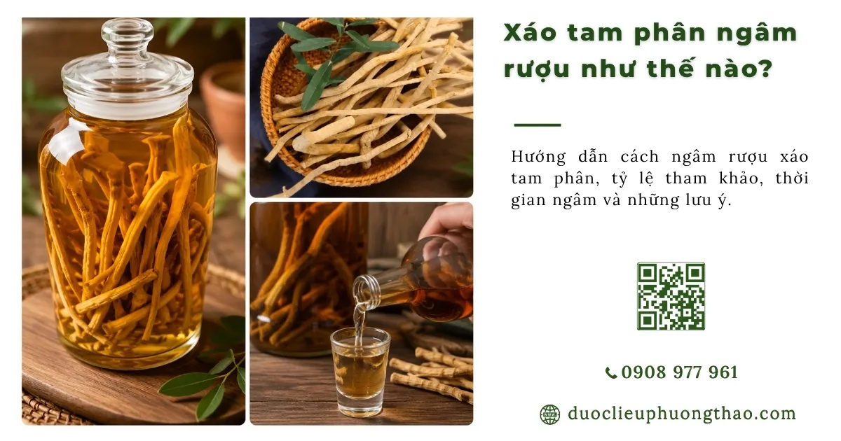 xáo tam phân ngâm rượu