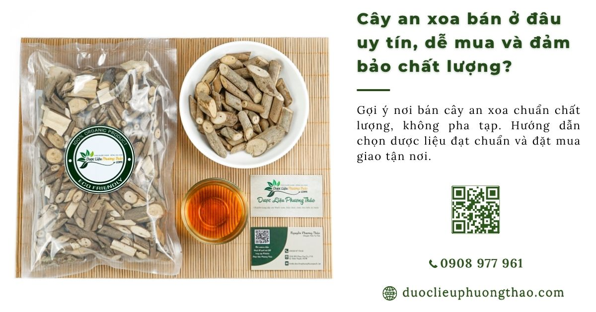 cây an xoa bán ở đâu