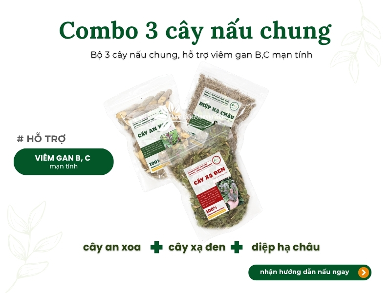 Combo 3 cây nấu chung hỗ trợ viêm gan B, C mạn tính