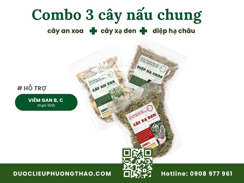 Bộ 3 cây an xoa, xạ đen, diệp hạ châu hỗ trợ gan
