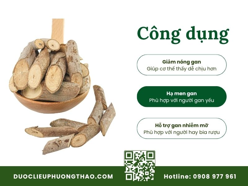 cây an xoa trị được bệnh gì? tác dụng đối với các bệnh gan