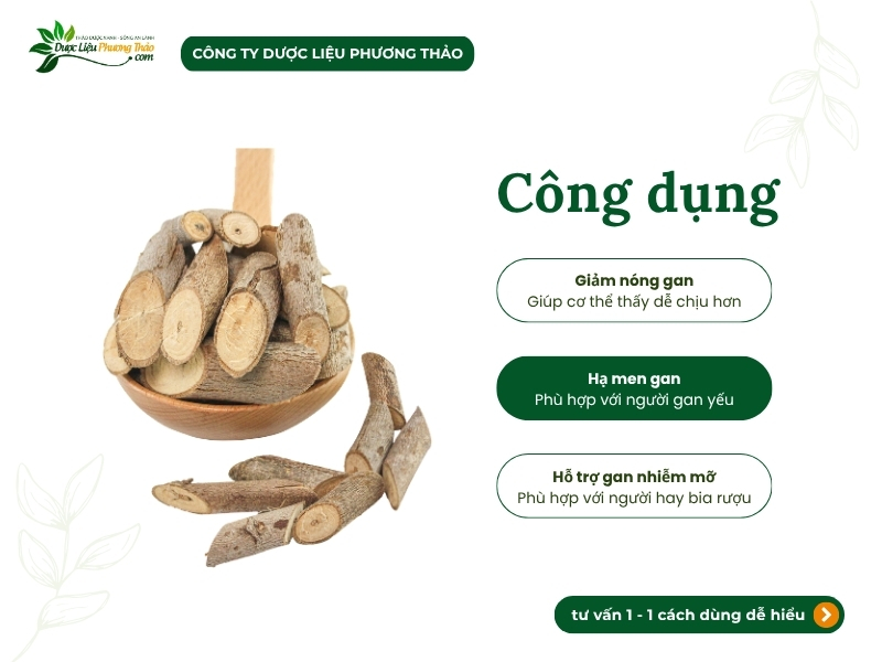 Cây an xoa (tổ kén cái, dó lông, thâu kén lông)